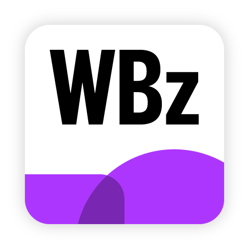 Winner Bizz